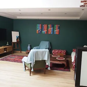 Appartement Loft Des Celestins, Vichy